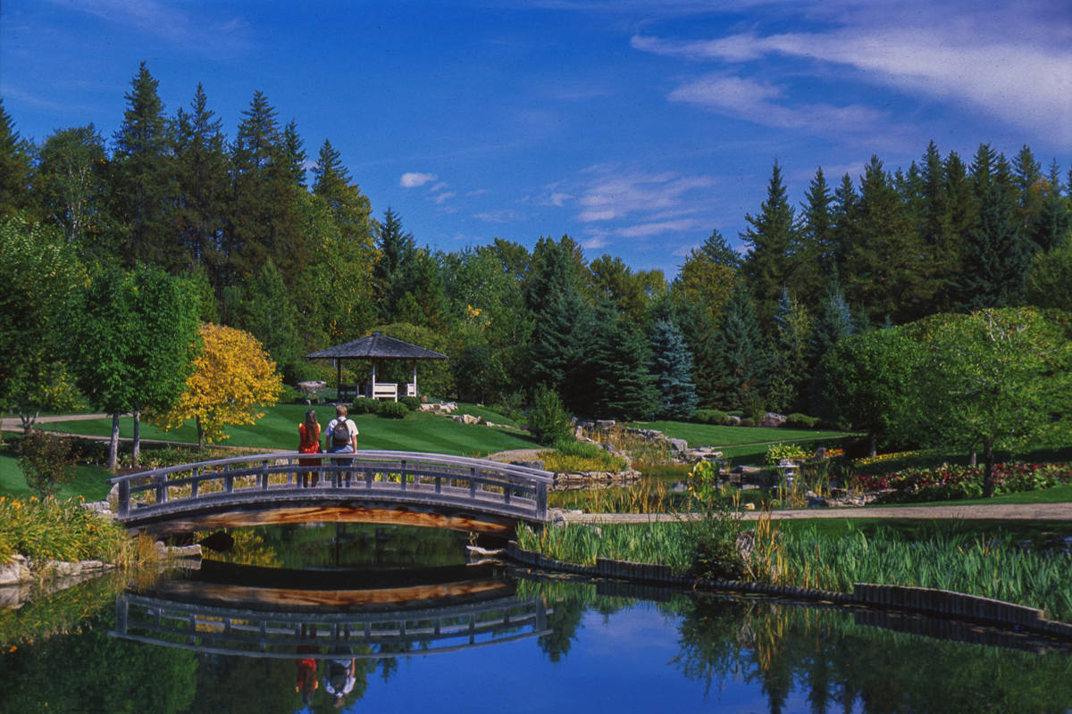 image: japanese garden